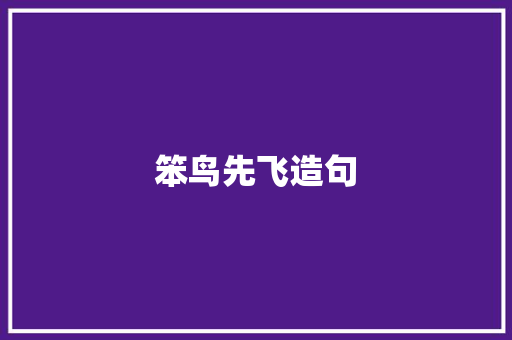 笨鸟先飞造句