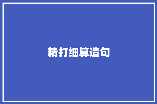 精打细算造句