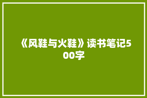 《风鞋与火鞋》读书笔记500字