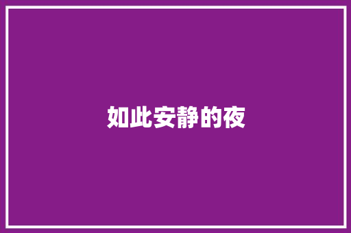 如此安静的夜 简历模板
