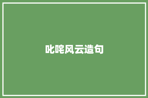 叱咤风云造句