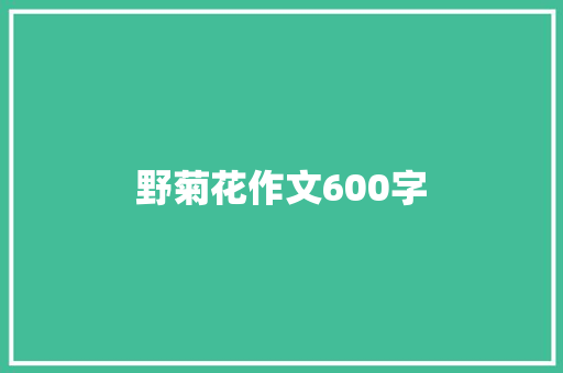 野菊花作文600字