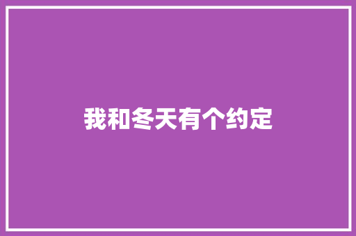 我和冬天有个约定 工作总结