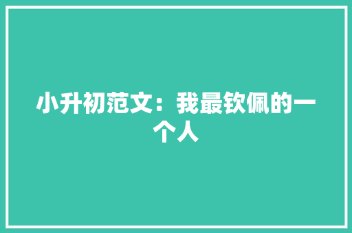 小升初范文：我最钦佩的一个人
