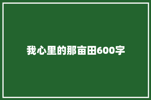 我心里的那亩田600字