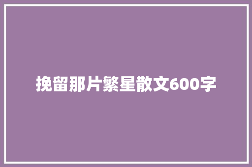 挽留那片繁星散文600字
