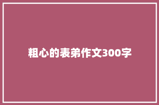 粗心的表弟作文300字