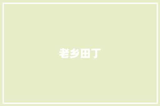 老乡田丁