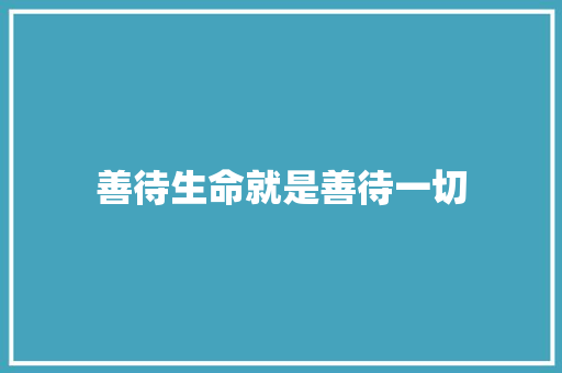 善待生命就是善待一切 工作总结
