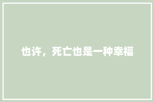 也许，死亡也是一种幸福 工作报告
