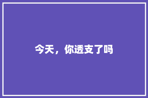 今天，你透支了吗 商务演讲