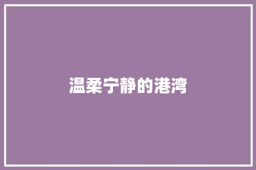 温柔宁静的港湾