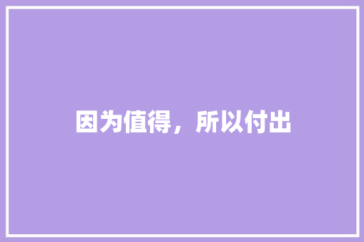 因为值得，所以付出 演讲稿