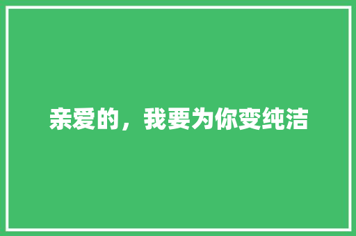亲爱的，我要为你变纯洁 商务演讲