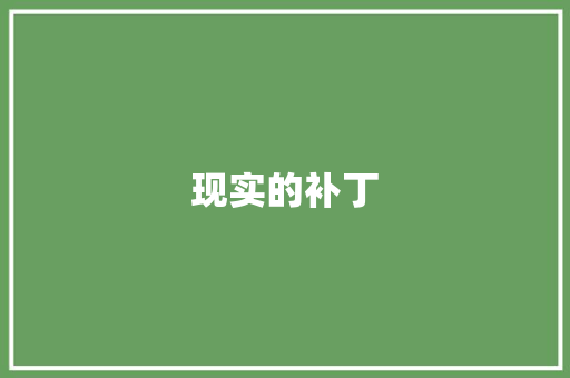 现实的补丁