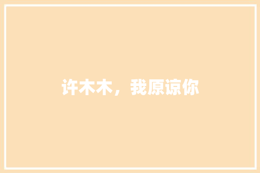 许木木，我原谅你 工作报告
