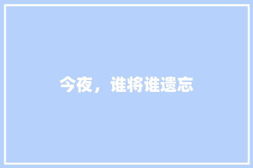 今夜，谁将谁遗忘 工作总结