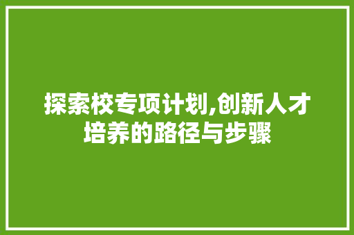 探索校专项计划,创新人才培养的路径与步骤