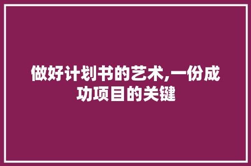 做好计划书的艺术,一份成功项目的关键