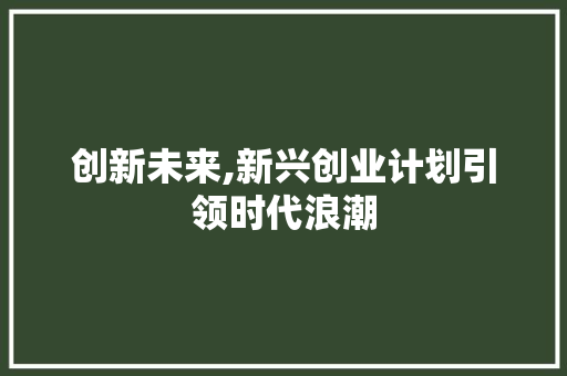创新未来,新兴创业计划引领时代浪潮 励志演讲
