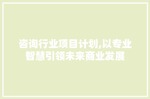 咨询行业项目计划,以专业智慧引领未来商业发展