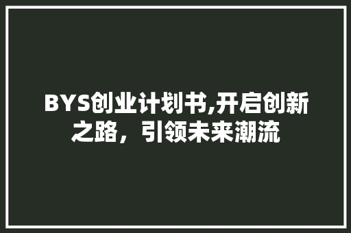 BYS创业计划书,开启创新之路，引领未来潮流