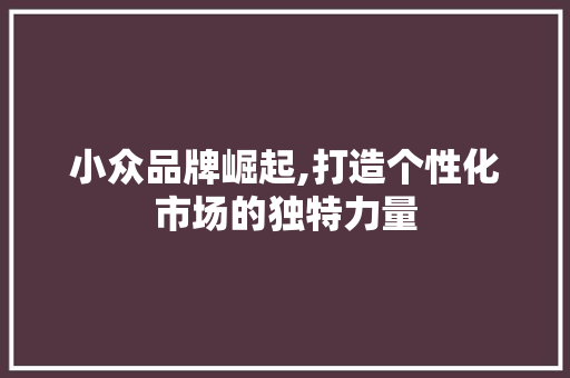 小众品牌崛起,打造个性化市场的独特力量