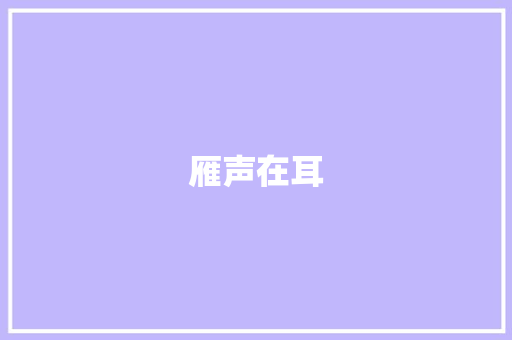 雁声在耳 校园演讲