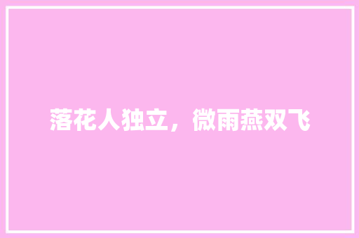 落花人独立，微雨燕双飞 简历模板