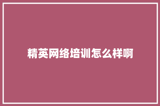 精英网络培训怎么样啊