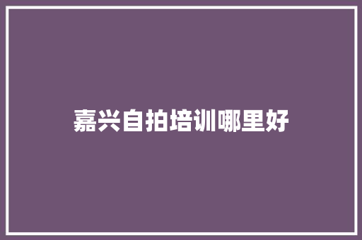 嘉兴自拍培训哪里好