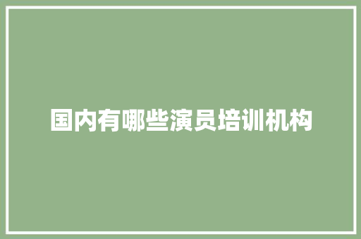 国内有哪些演员培训机构