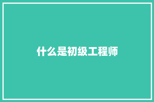 什么是初级工程师 工作总结