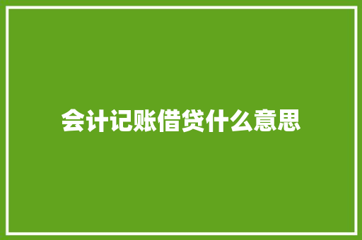 会计记账借贷什么意思