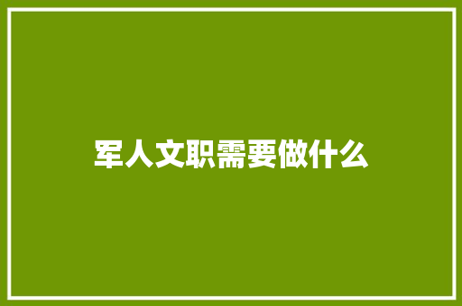 军人文职需要做什么
