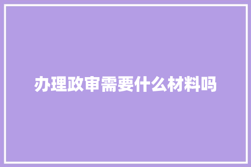 办理政审需要什么材料吗