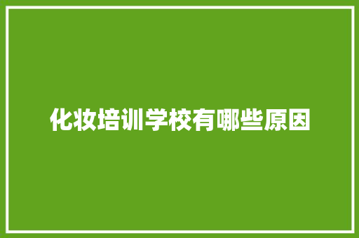 化妆培训学校有哪些原因