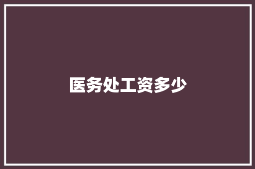 医务处工资多少