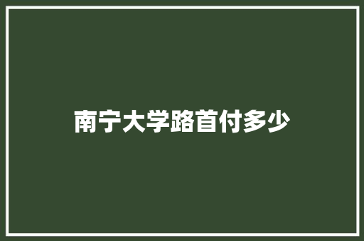 南宁大学路首付多少