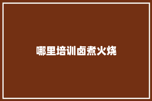 哪里培训卤煮火烧