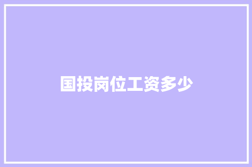 国投岗位工资多少