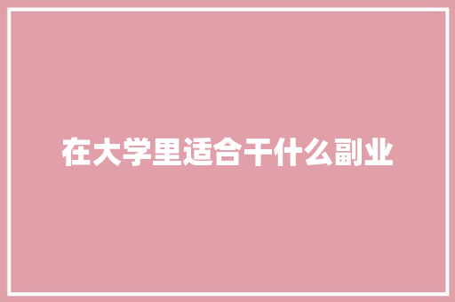 在大学里适合干什么副业