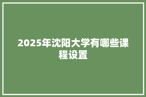 2025年沈阳大学有哪些课程设置
