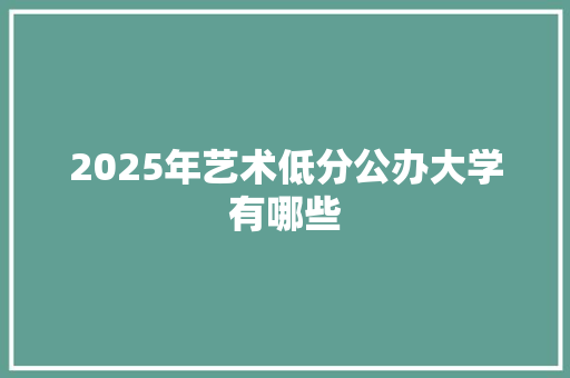 2025年艺术低分公办大学有哪些