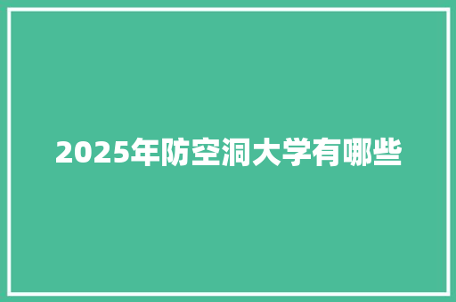 2025年防空洞大学有哪些