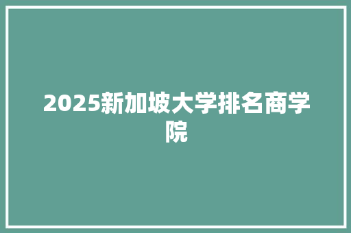2025新加坡大学排名商学院