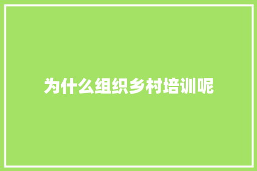 为什么组织乡村培训呢