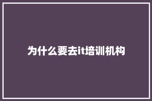 为什么要去it培训机构