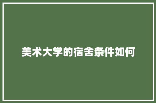 美术大学的宿舍条件如何