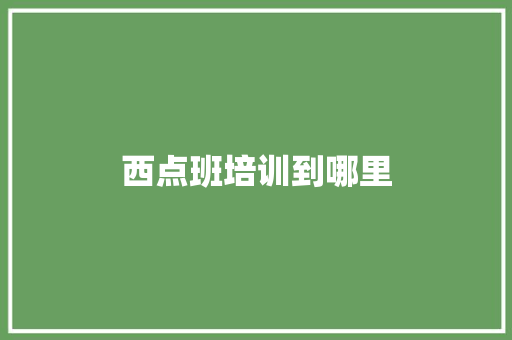 西点班培训到哪里